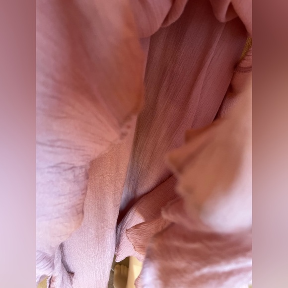 Free People Adella Pink-Nude Maxi Dress - Picture 6 of 9